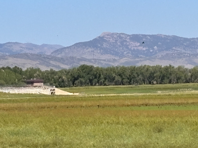 Lake bed with tall grass and mountains in background