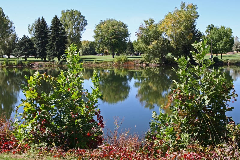 A serene pond surrounded by lush greenery, reflecting trees on a clear day in Highland Hills.