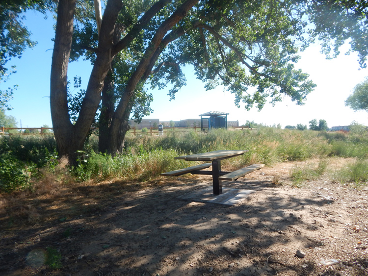 A peaceful outdoor scene featuring a picnic table beneath the shade of a large tree, surrounded by grass and distant structures.