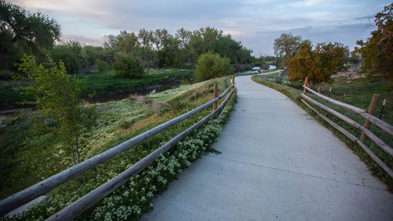 A scenic paved pathway surrounded by plants and wood fencing along the tranquil Poudre River.