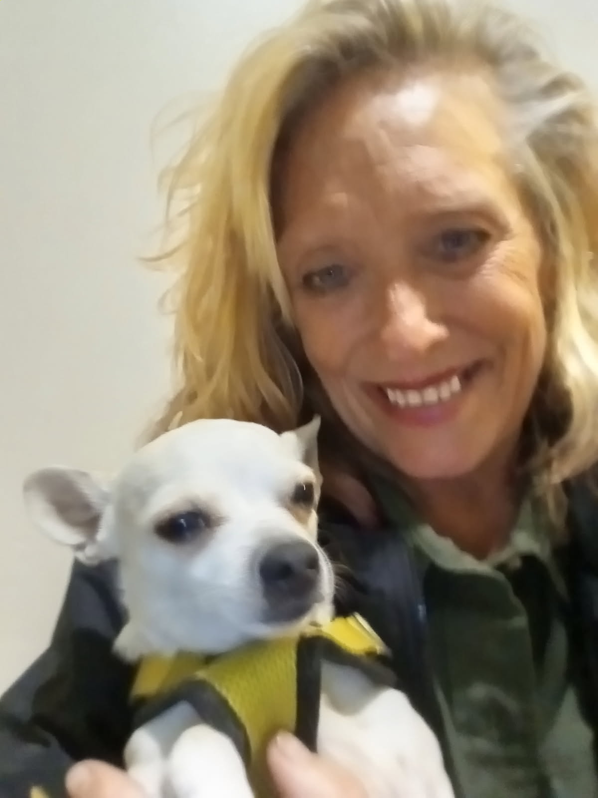 A person holding a white small dog wearing a yellow harness smiling. 