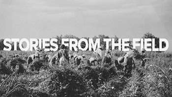 An evocative depiction of workers in a field, highlighting labor and community stories.