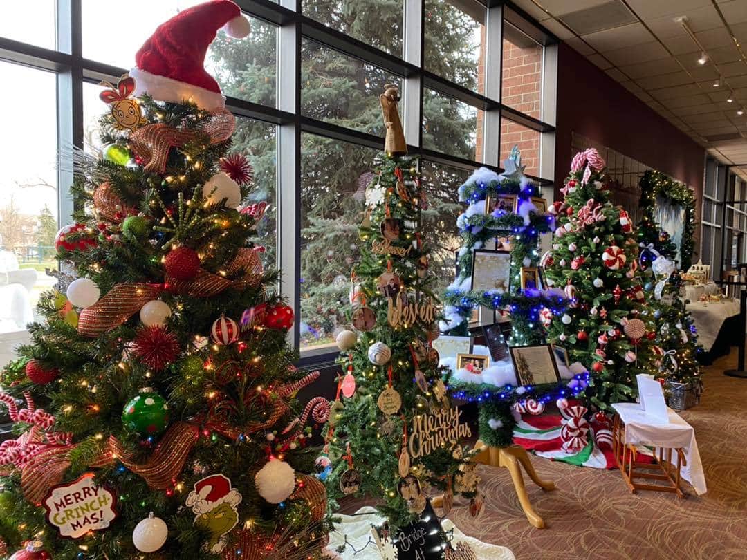 A vibrant showcase of decorated Christmas trees with ornaments and lights in Greeley, Colorado.