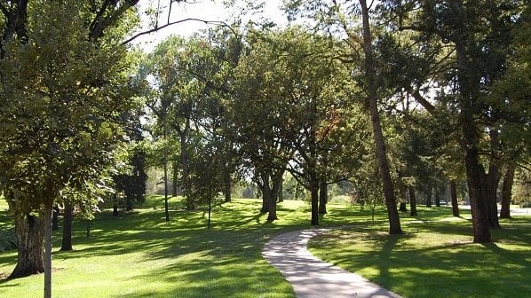 A shady walkway surrounded by lush green trees in Glenmere Park, Greeley, Colorado.