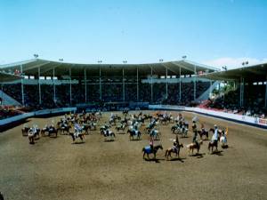 The image shows a vibrant outdoor event at an arena with grandstands filled with spectators and a performance featuring riders on horses.