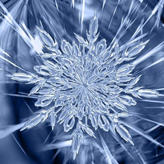 An artistic close-up view showcasing the intricate details of an ice crystal formation in a vibrant blue hue.