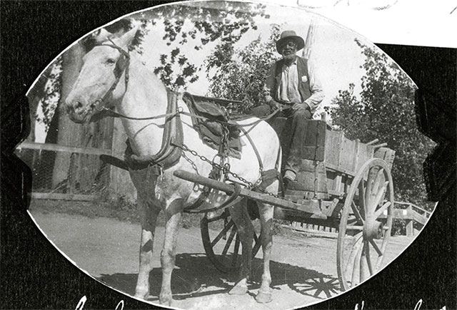 Charlie Clay sitting on top of a horse-drawn carriage with trees in the background