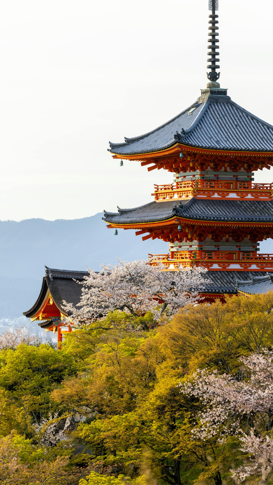 Photograph of a pristine, red, three story pagoda with black roof and trees in springtime bloom surrounding. A mountain is seen in the distance on an overcast day in Moriya Japan.