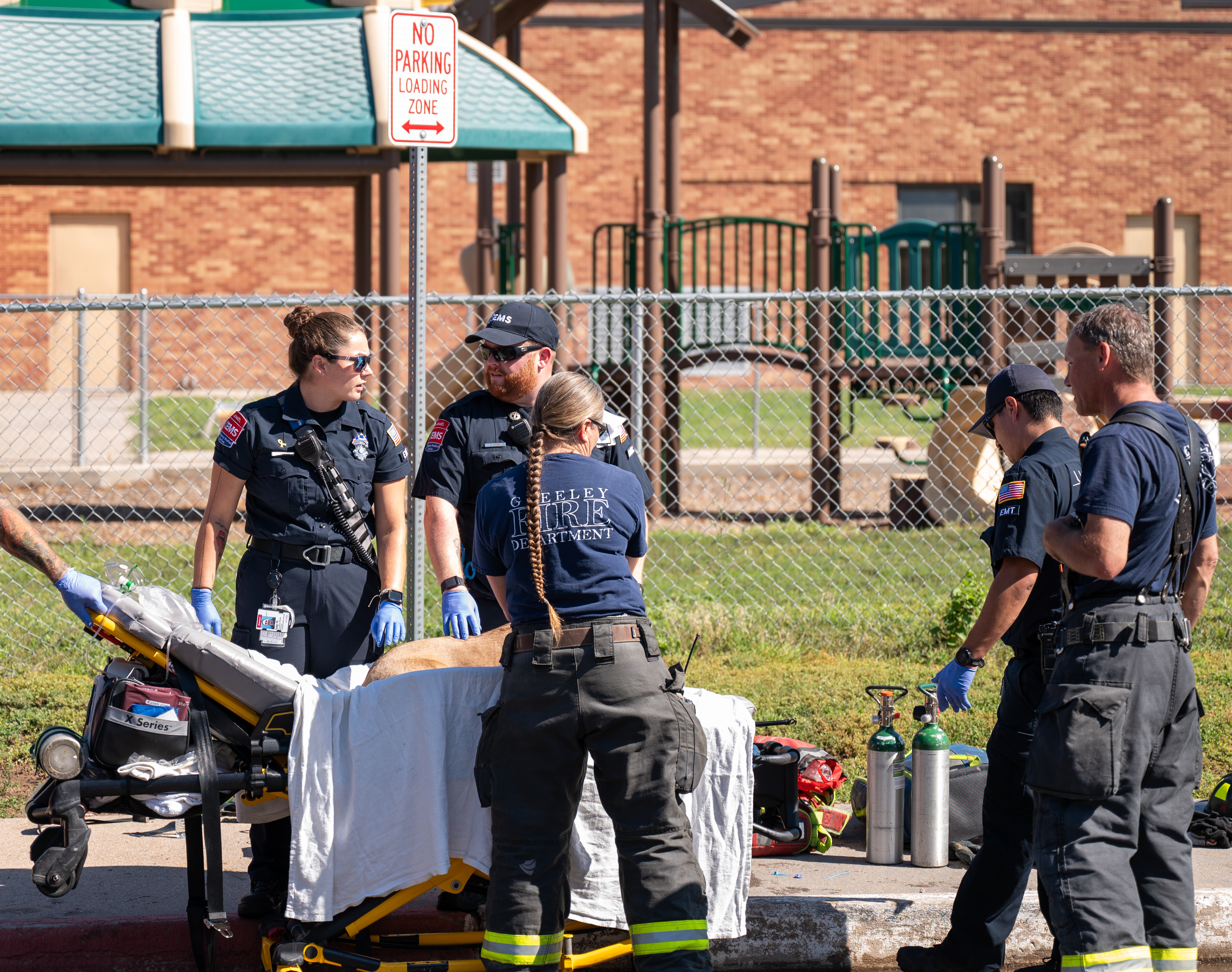 Multiple fire department and emergency medical personnel surround an ambulance gurney with a dog on it at the scene of a call. 