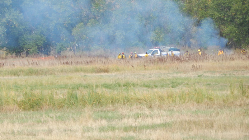 A group of firefighters stand prepared near a smoky area in a grassy field with trees in the background.
