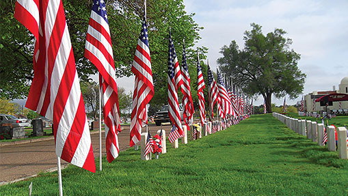 A row of American flags displayed at a local cemetery, honoring veterans for Memorial Day.