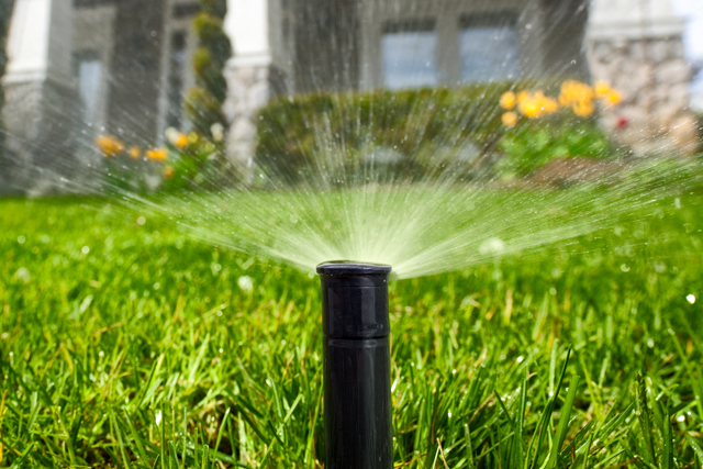 A close-up view of a sprinkler distributing water over a lush green lawn, promoting effective gardening practices.