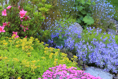 A diverse array of colorful drought-resistant plants arranged in a serene, eco-friendly landscape.