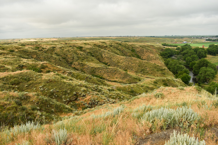 A scenic view of the Shurview Spring River Corridor showcasing rolling hills and lush greenery under an overcast sky.