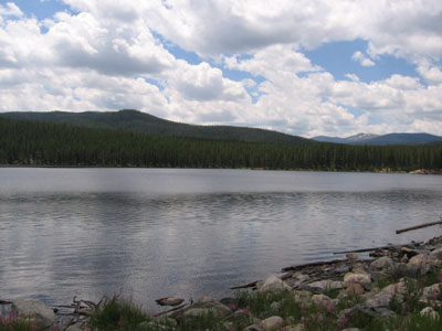 Serene view of Barnes Meadow surrounded by lush forest and calm waters.