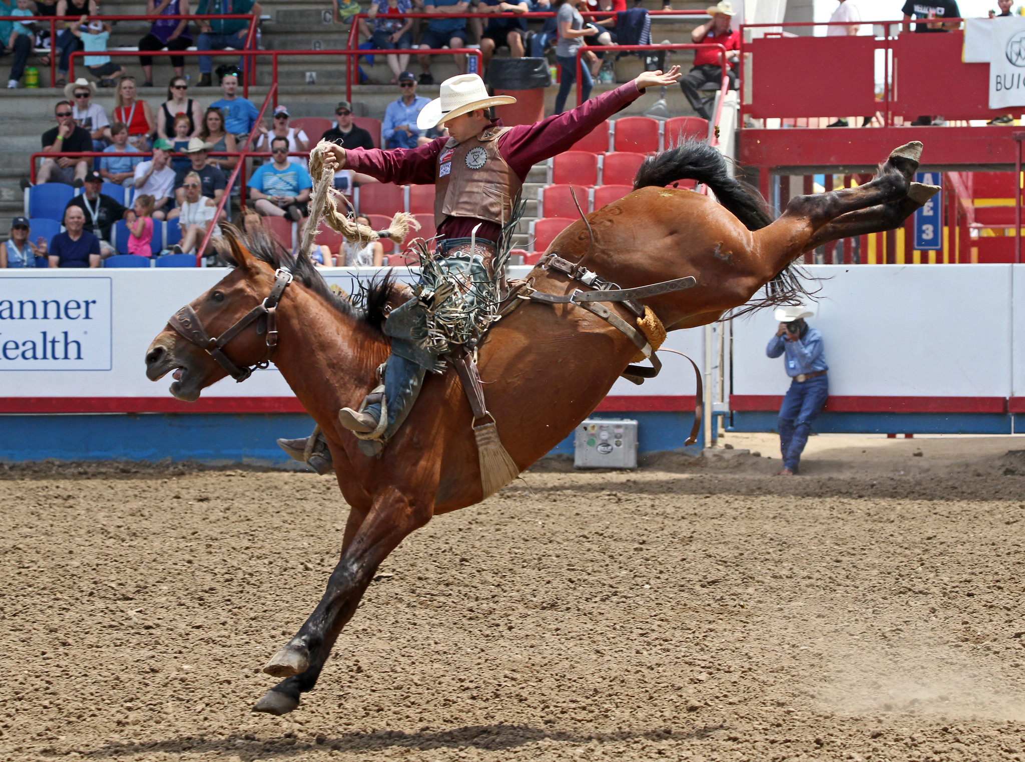 A dynamic rodeo scene at the Greeley Stampede showcasing a cowboy's bronc riding performance surrounded by an engaged audience.