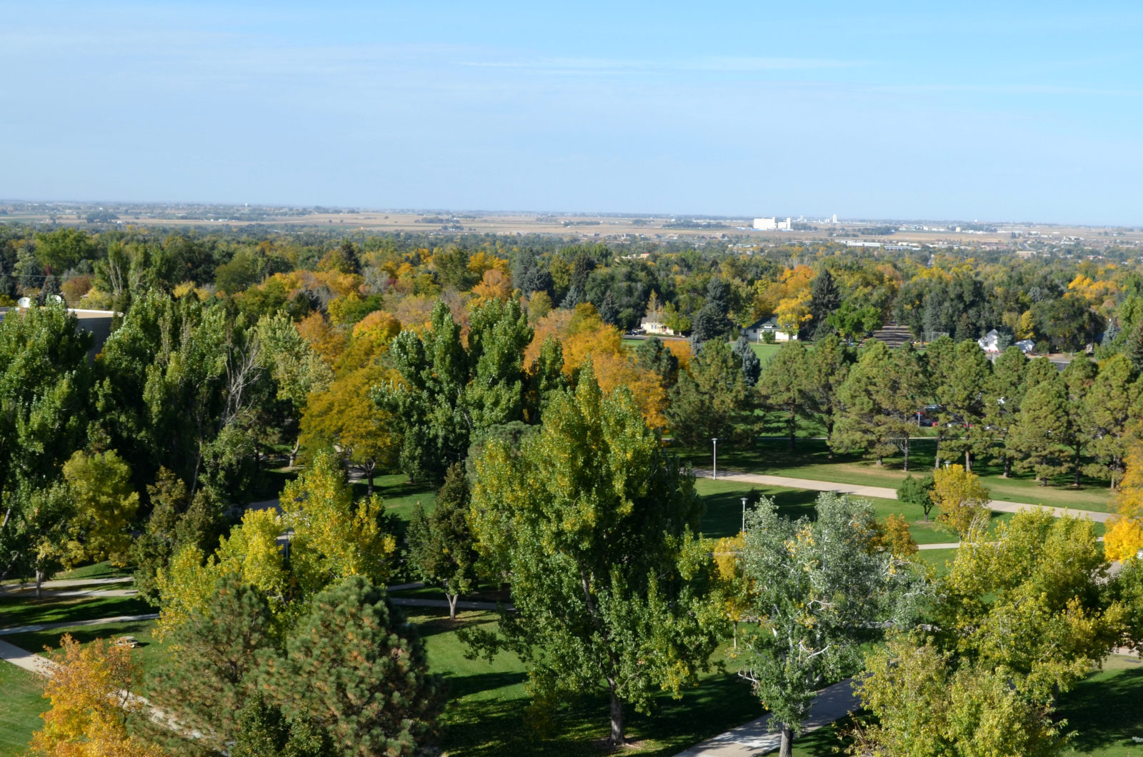 A serene view of lush trees and open green spaces, showcasing the beauty of nature in a city setting.