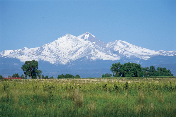 A serene view of snow-capped mountains with lush green fields in the foreground on a clear day.