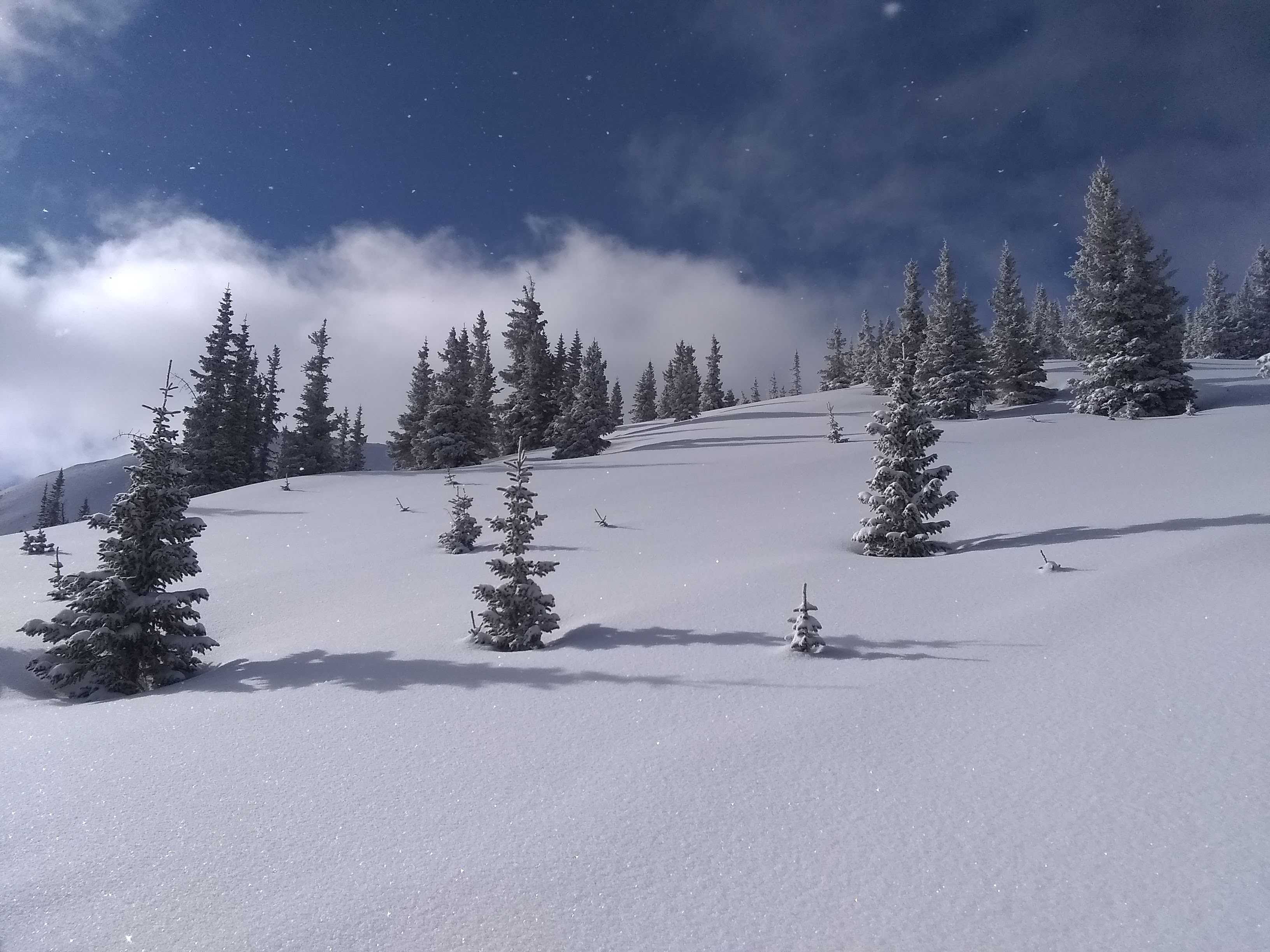 Picture of a side of a mountain to show the snowpack