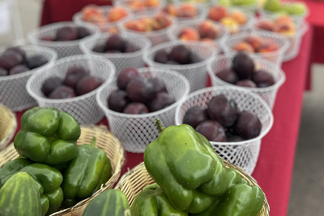 Ripe vegetables including peppers, plums and peaches in baskets on a red table at the Greeley Farmers' Market.