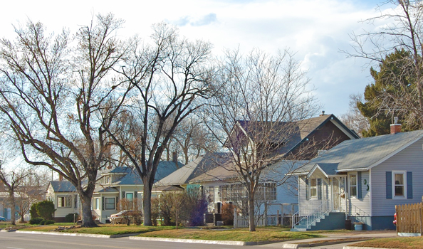 A serene street view of Greeley's Sunrise Neighborhood with charming houses and leafless trees.