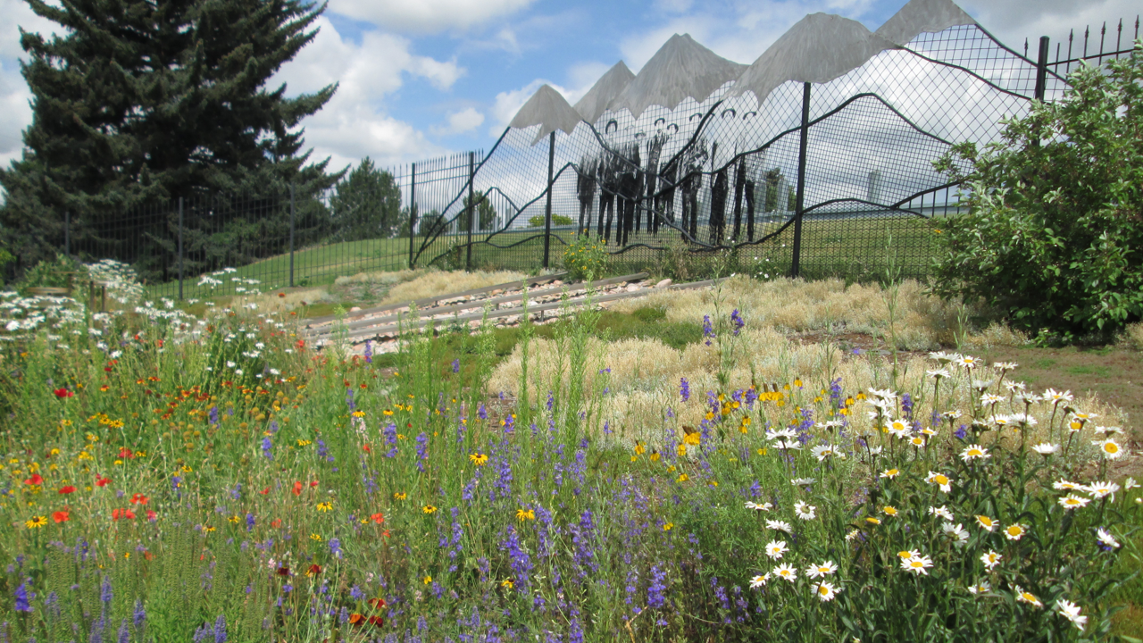 conservation garden