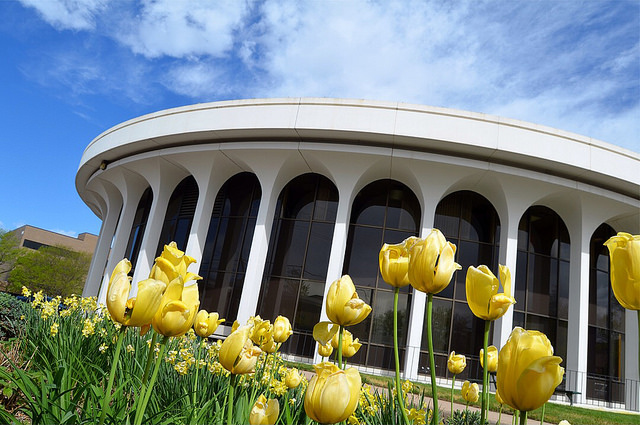 The architectural exterior of Greeley City Hall surrounded by vibrant yellow tulips under a clear blue sky.