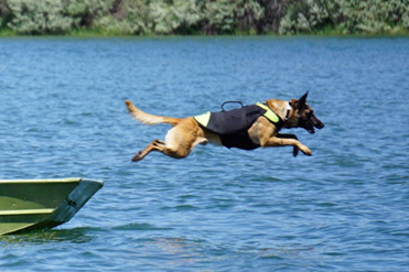 K9 Saker demonstrates agility by jumping from a boat into the water during a rescue exercise.