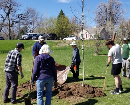 A group of residents collaborates to plant a young tree in a neighborhood park, showcasing community spirit and environmental stewardship.