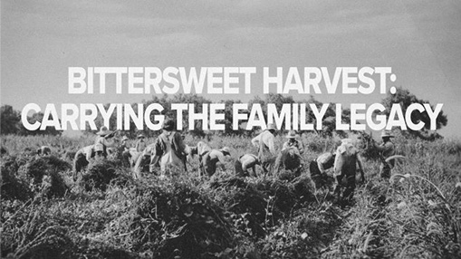 Black and white image capturing a group of people working in a field, symbolizing dedication to heritage and hard work.