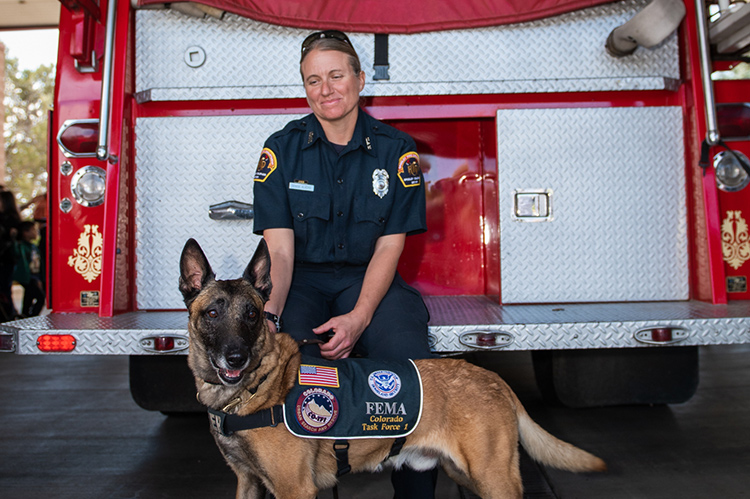 A firefighter seated in front of a fire truck with a trained FEMA K9 dog wearing a vest.