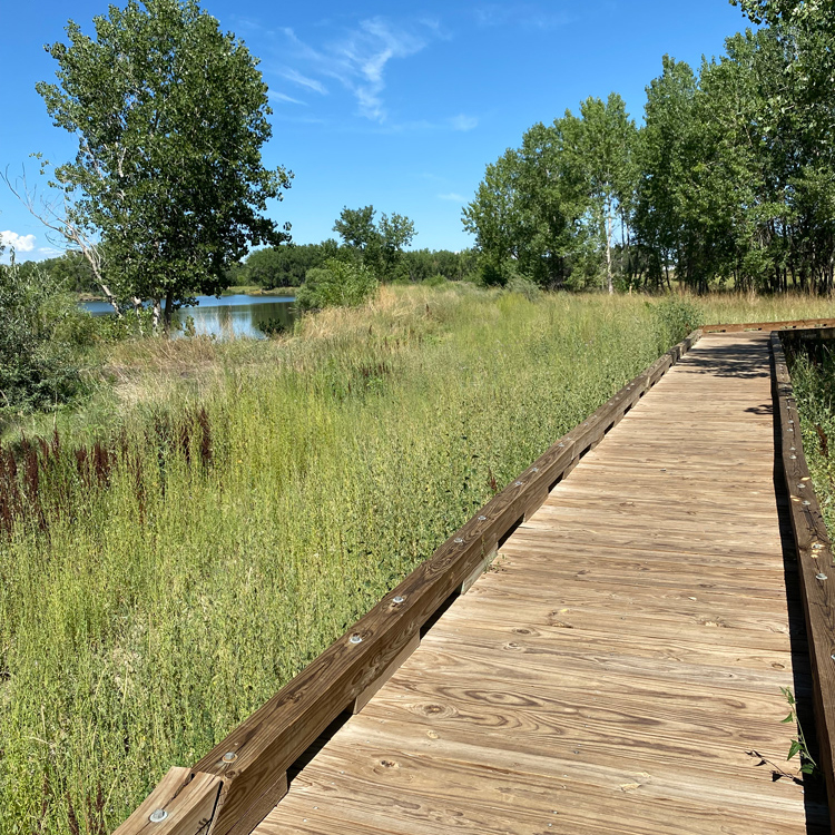 A serene wooden pathway surrounded by lush greenery leading to a tranquil lake view under a clear blue sky.