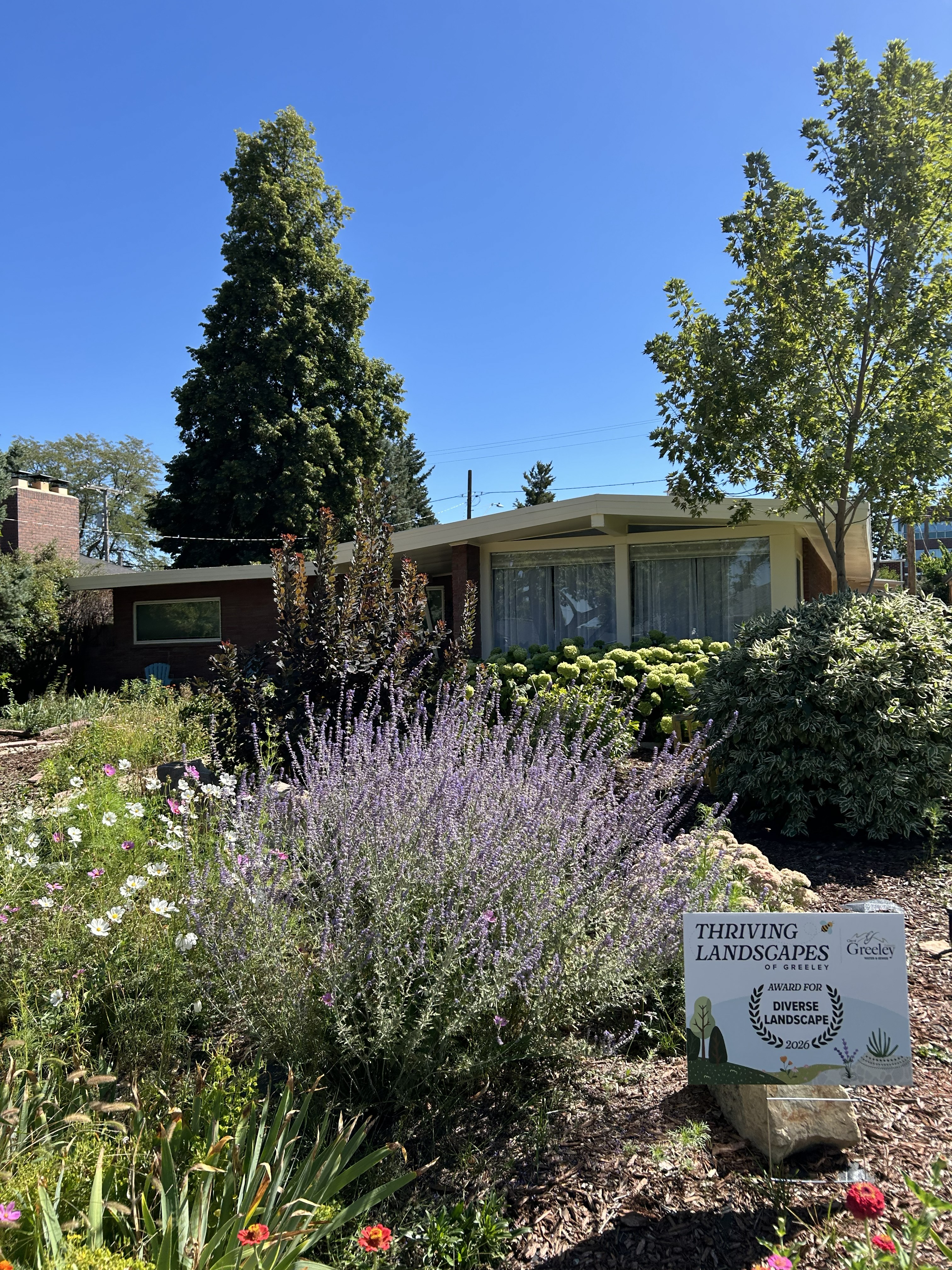 House with a waterwise landscape.