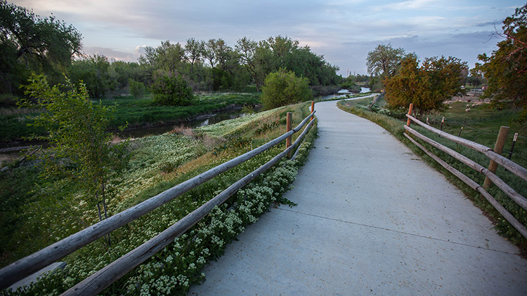 A scenic pathway along the Poudre River Trail, featuring lush greenery and tranquil surroundings in Greeley.