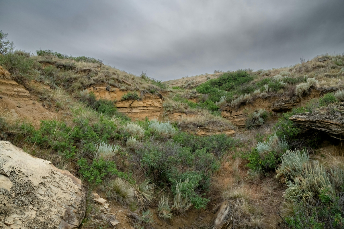 This image depicts a low mountain in the Arroyos del Sol, one of Greeley's public natural areas.  The image is taken from the viewpoint of a hiker ascending the mountain, with rock and clay outcroppings peppered throughout natural grasses.